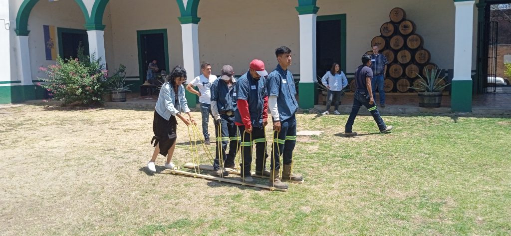 IMG_20230527_113212_1